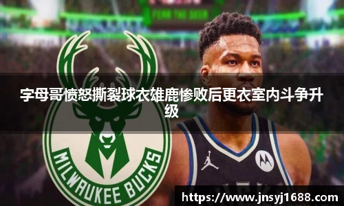 星空·综合体育官方网站