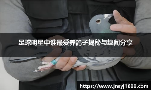 足球明星中谁最爱养鸽子揭秘与趣闻分享