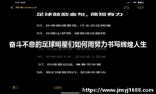 星空·综合体育官方网站